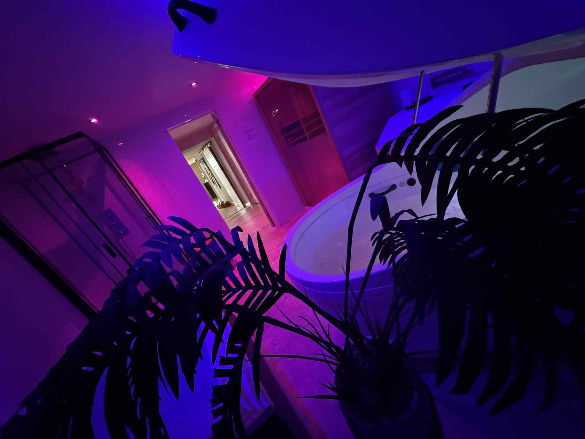Float • Fire & Ice interior